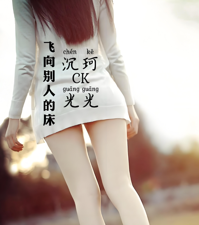 飞向别人的床 封面