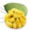 怎么判断菠萝蜜是否成熟 菠萝蜜的核怎么吃有什么功效