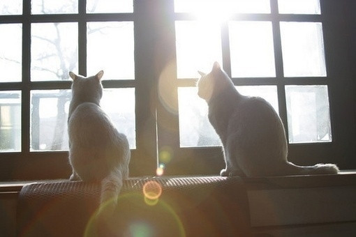 ͼƬ2018Ψ��ů������ϵ ����ȥ����ǽ�������˾ͺ�